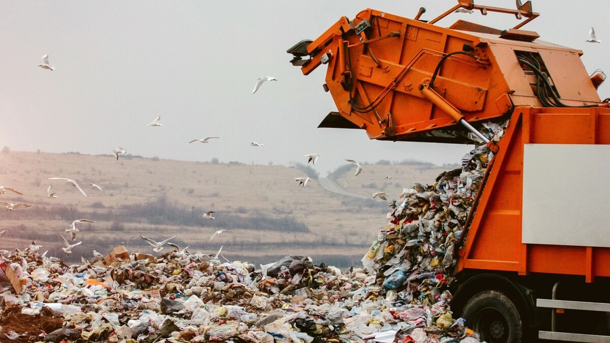    Фото: Dalibor Danilovic/Shutterstock/Fotodom