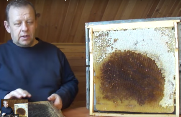 Место под зимний клуб и запасы мёда "над головой" для зимнего клуба