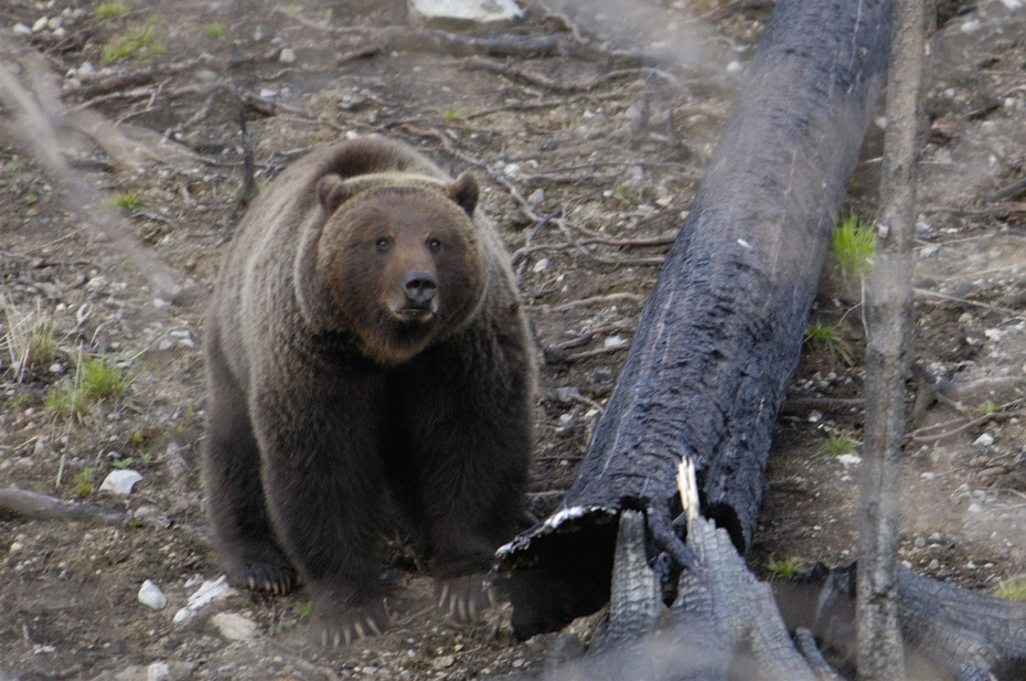    unknown/Danita Delimont/Global Look Press