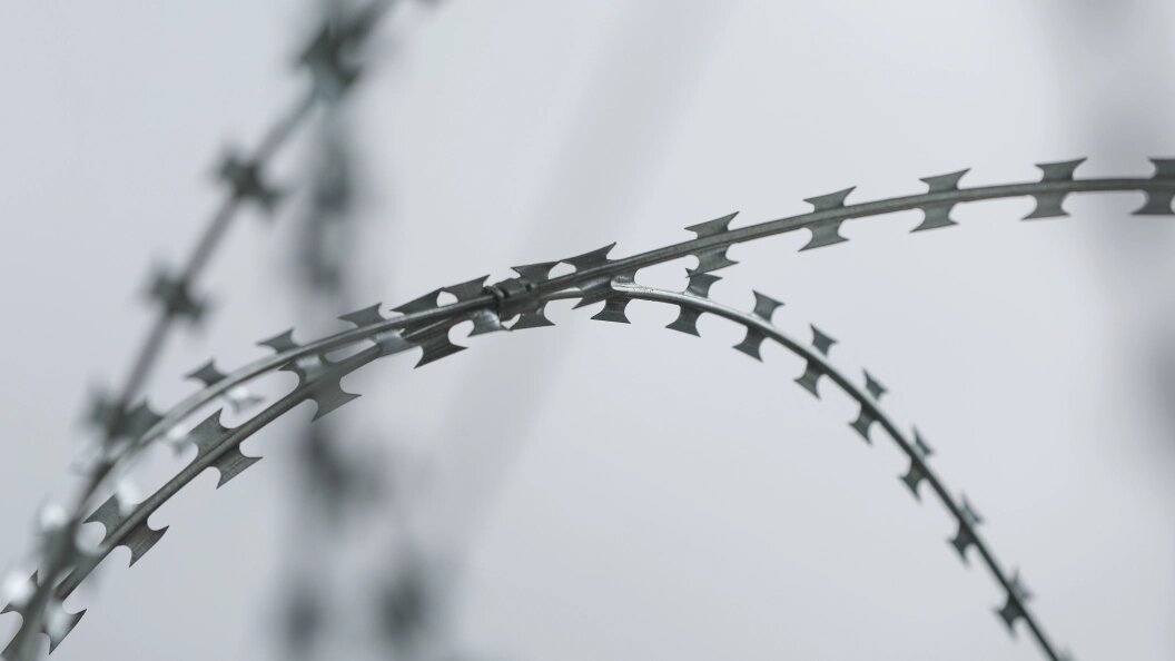    Фото: Belkin Alexey/news.ru/Globallookpress