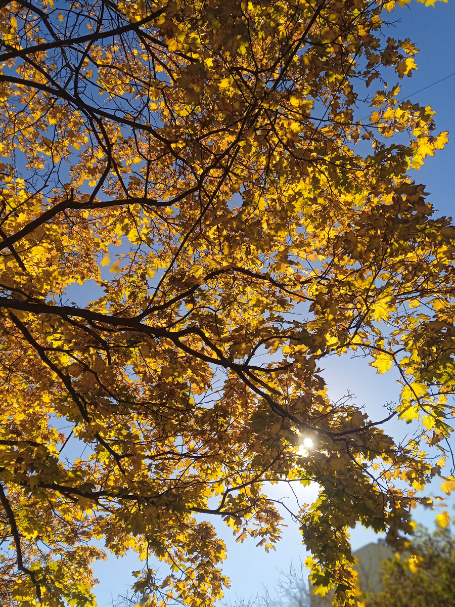 День. Фото автора.