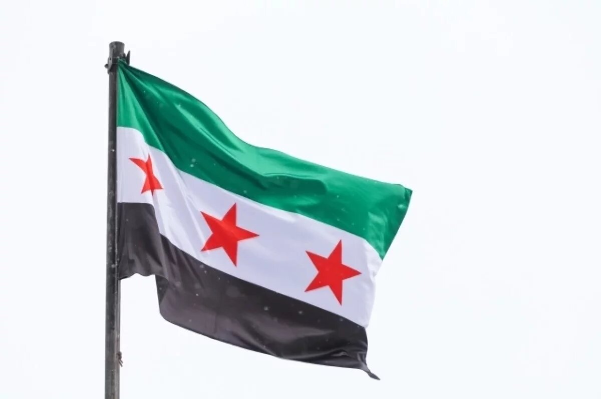    В Москву с визитом прибыла делегация Минобороны Сирии