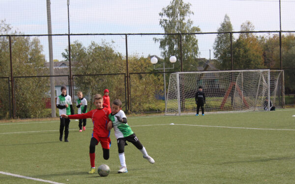 /home/web/web/znamya truda32.ru/public html/wp content/uploads/2025/10/2 SiteEditor  📷
