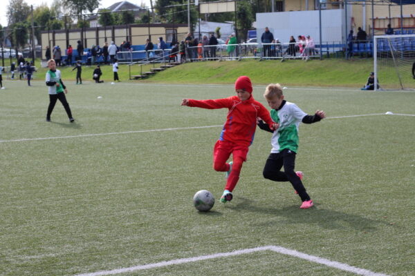 /home/web/web/znamya truda32.ru/public html/wp content/uploads/2025/10/3 SiteEditor  📷
