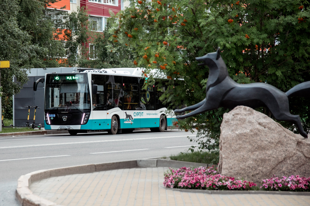    + 436 новых автобусов за пять лет