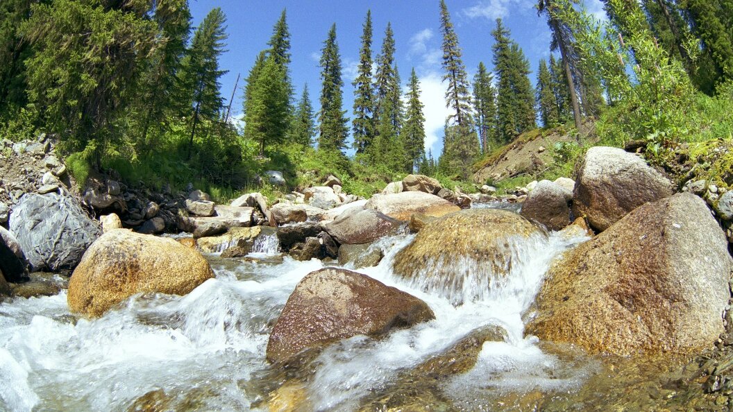    Vladimir Skovorodnikov/Globallookpress