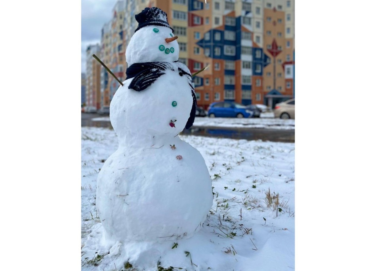    Зимний снежный дебют