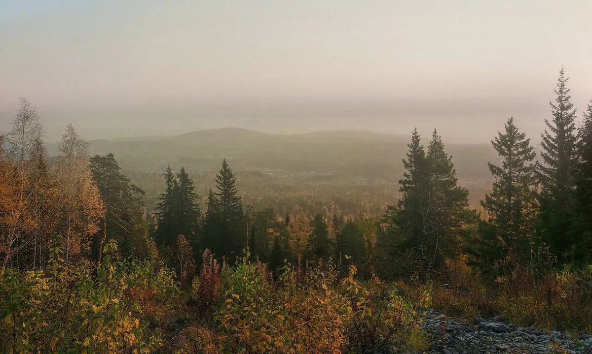    Фото: ГСУ СК России по Красноярскому краю и Хакассии