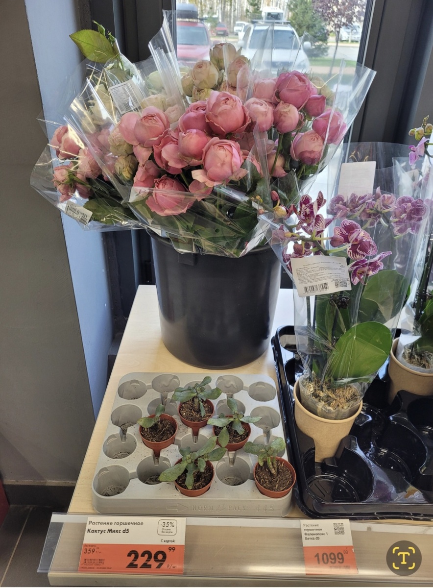 Розы и орхидеи