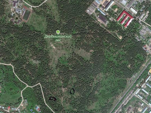 Карта Дербышкинского леса