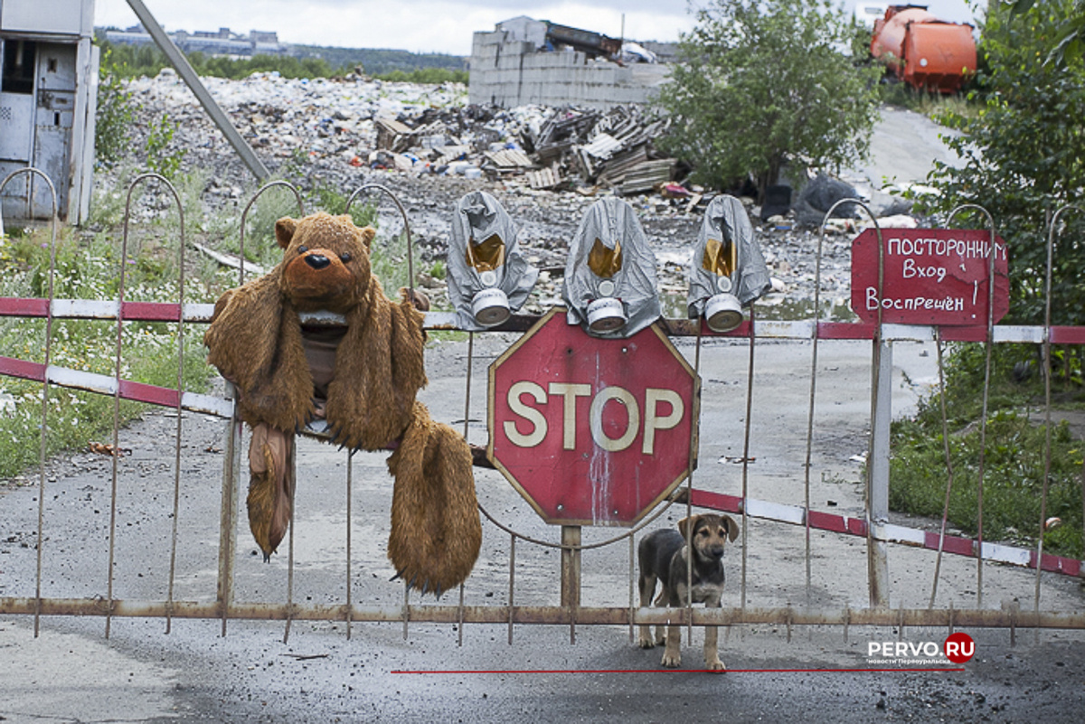 Фото Кравчук Максим / www.pervo.ru