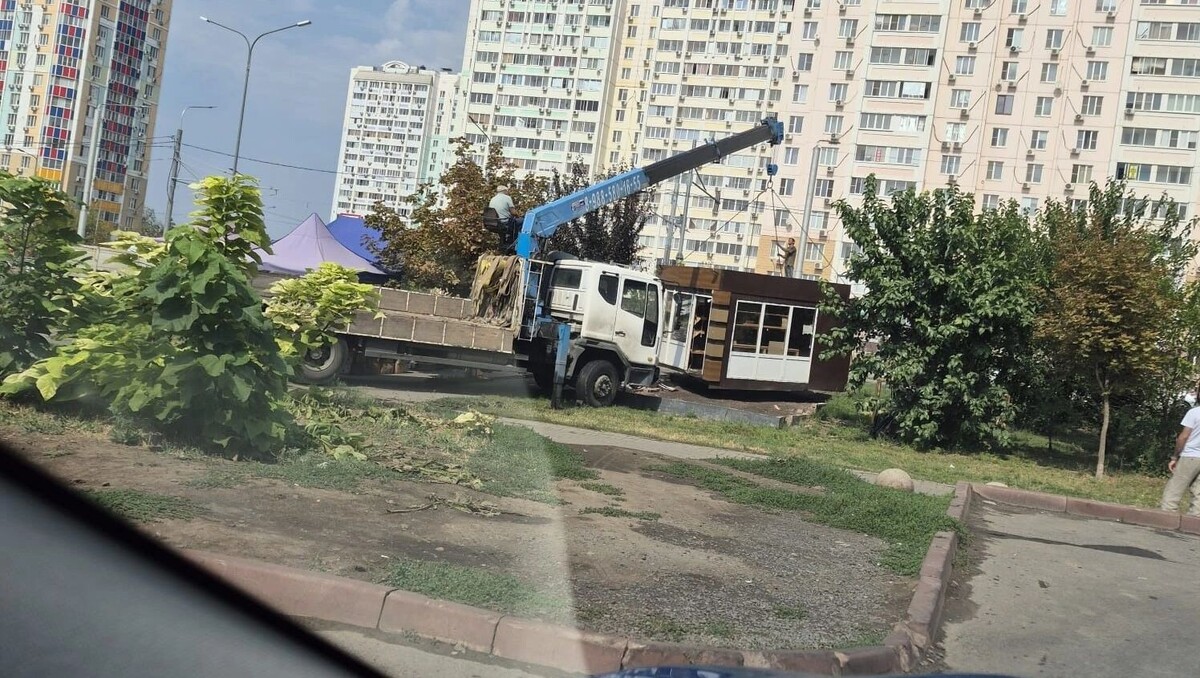     Источник: rostovgazeta.ru