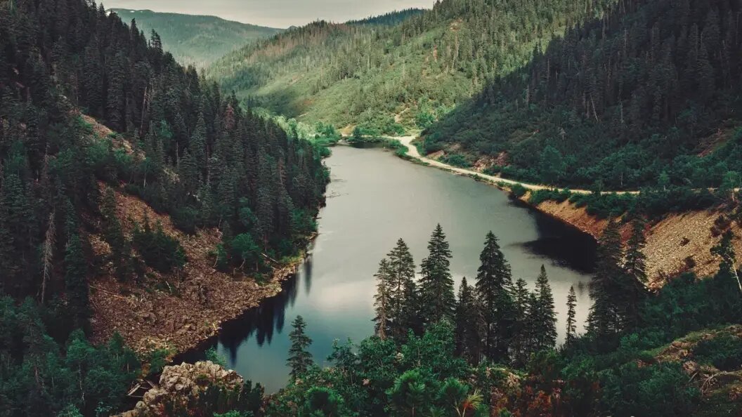    Фото: Shutterstock