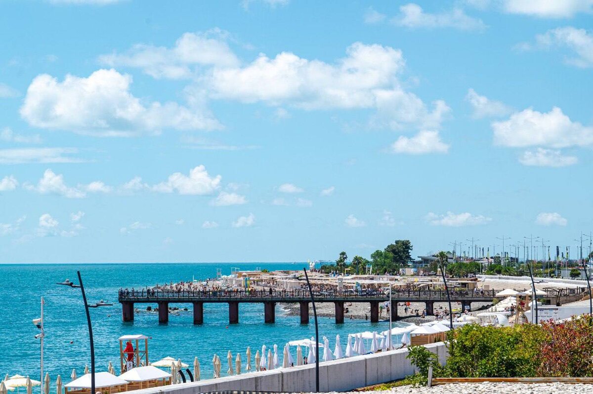    Фото: Telegram/Дмитрий Плишкин