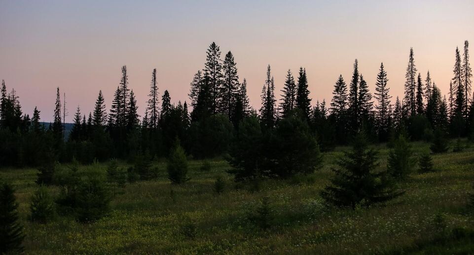    Elena Mayorova/Global Look Press / www.globallookpress.com