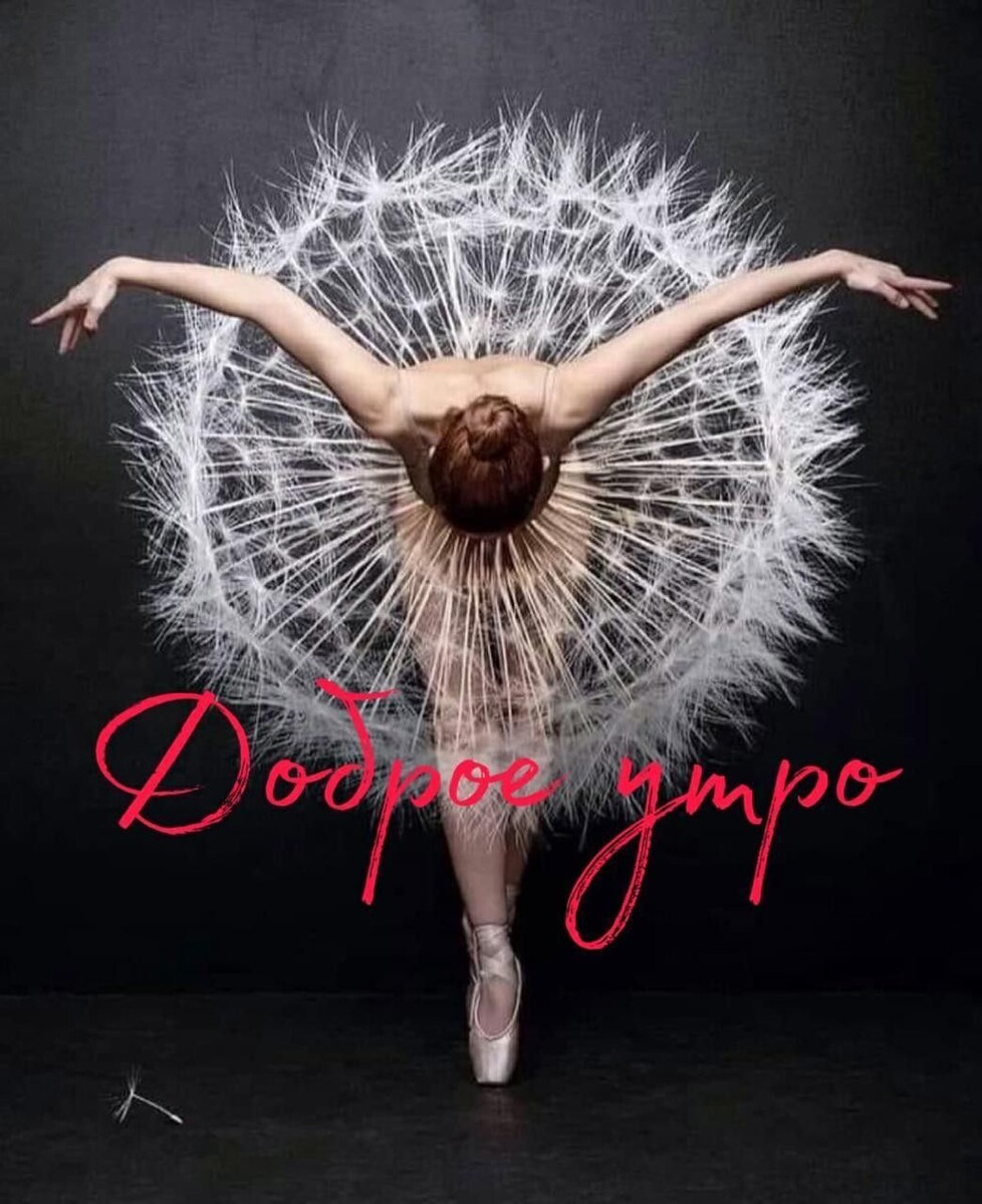 ФОто интернета.