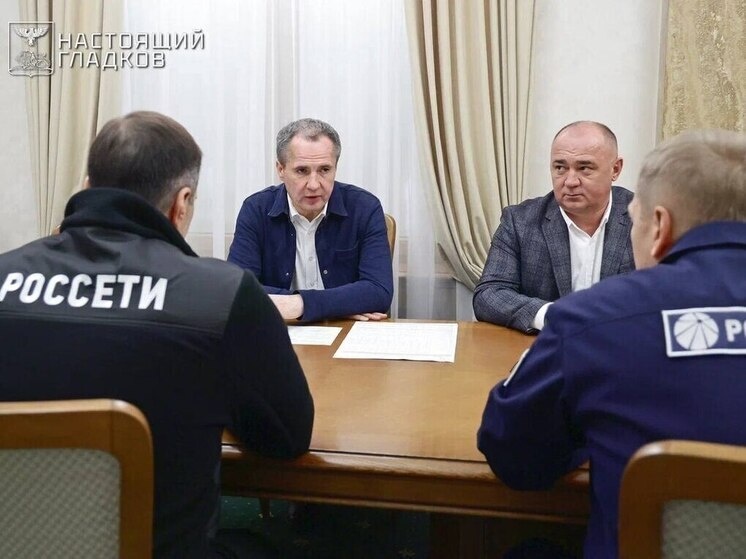     Вячеслав Гладков встретился с генеральным директором «Россети Центр», фото: t.me/vvgladkov