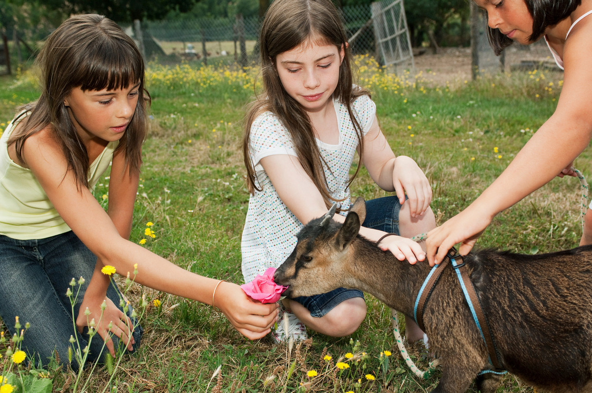    Фото носит иллюстративный характер