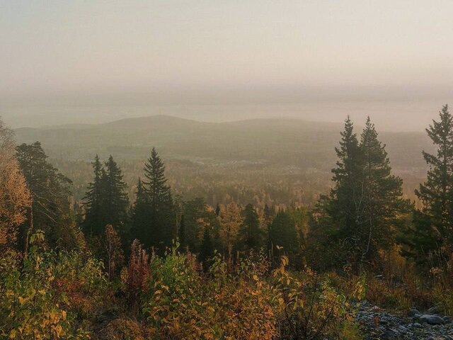    Фото: телеграм-канал "ГСУ СК России по Красноярскому краю и Республике Хакасия"