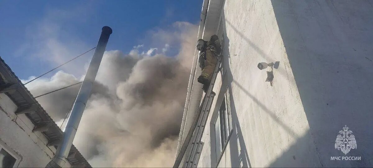   Фото: пресс-служба МЧС России