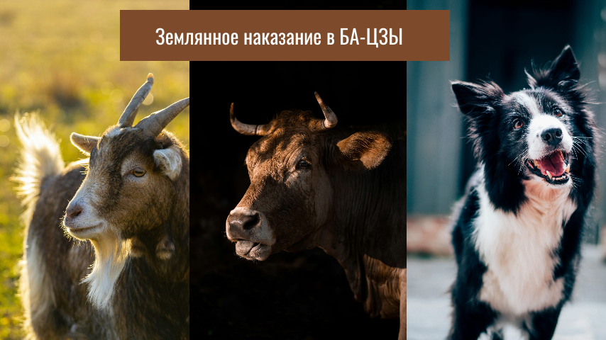 КРЕАТИВА АВТОРА