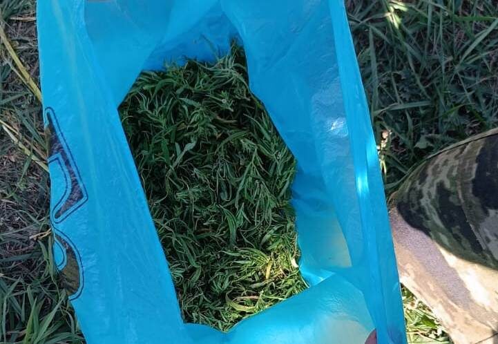    В Оренбургской области задержали мужчину с марихуаной, собранной «для себя»