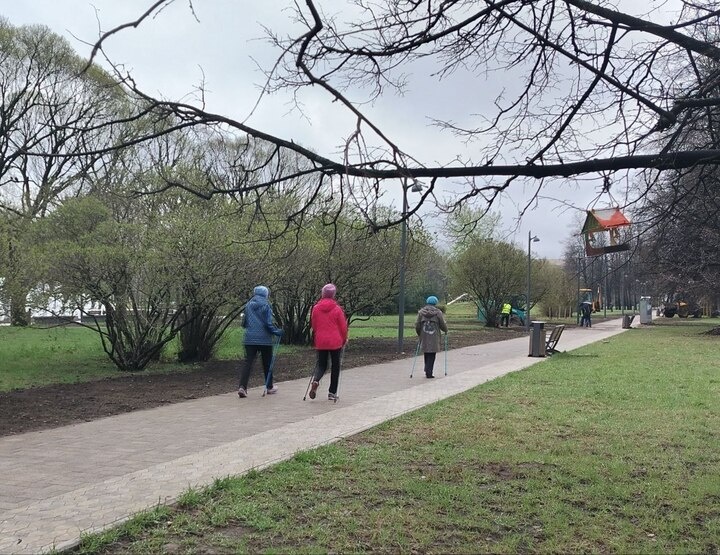     Пожилым северянам посоветовали есть овощи, орехи и бобовые для здоровья костей. Фото: архив МК в Мурманске.