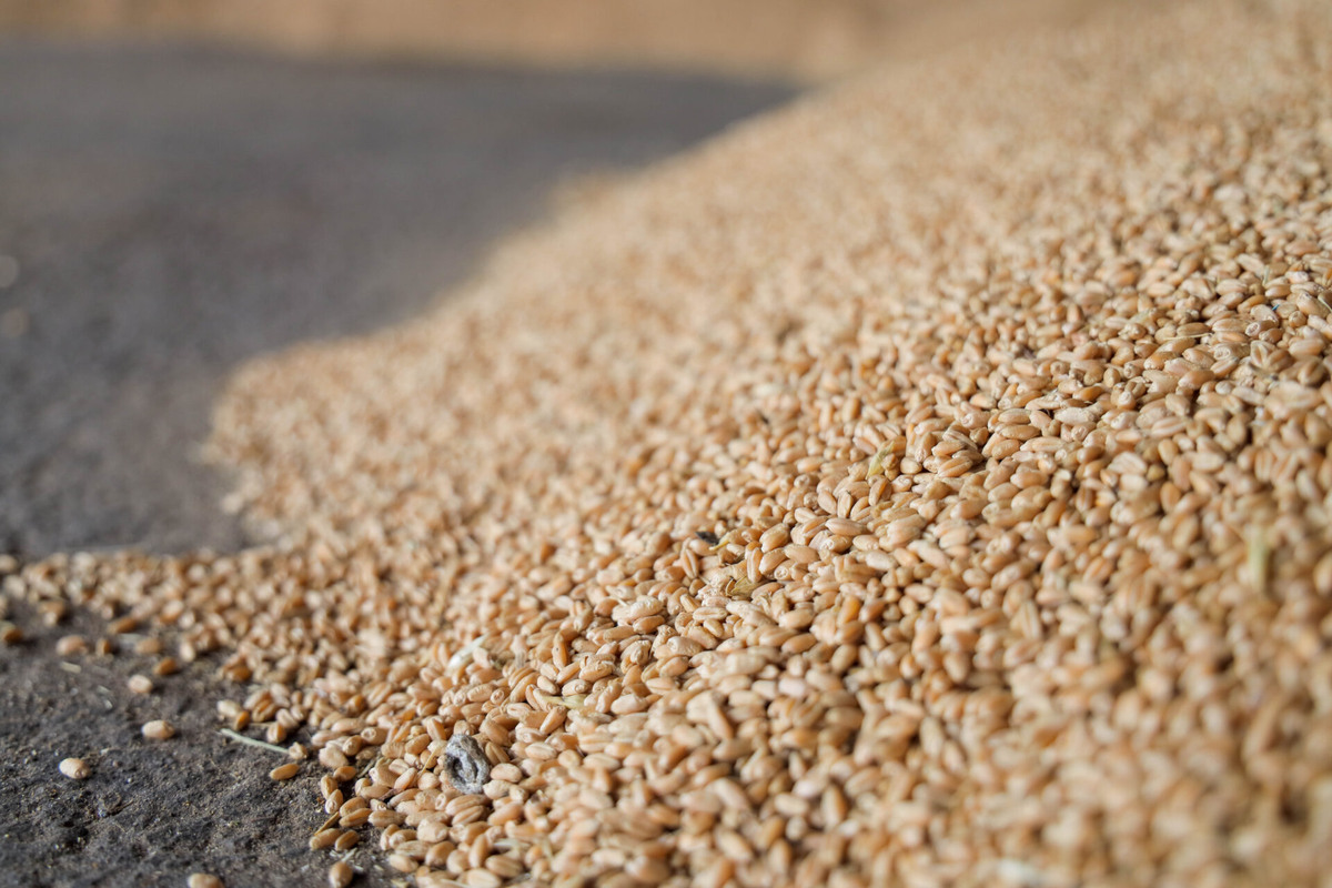    Фото: ТРК Таврия