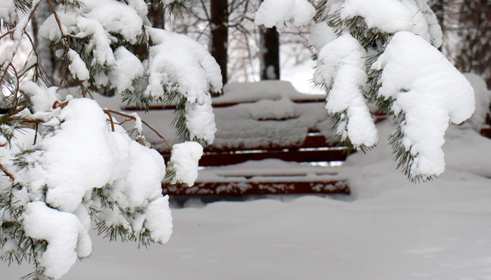 Российский Гидрометцентр предупредил о морозной зиме. Фото: Артем Шершнев, 1MI