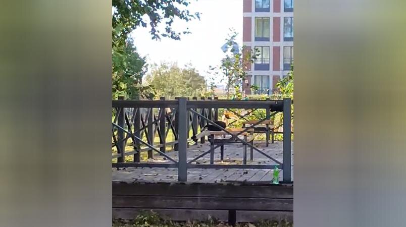    Фото: пресс-служба Ленинградского зоопарка