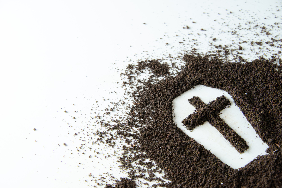 Фото: freepik.com