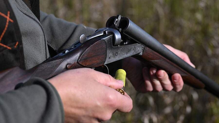 В России более чем в пять раз вырастут охотничьи сборы