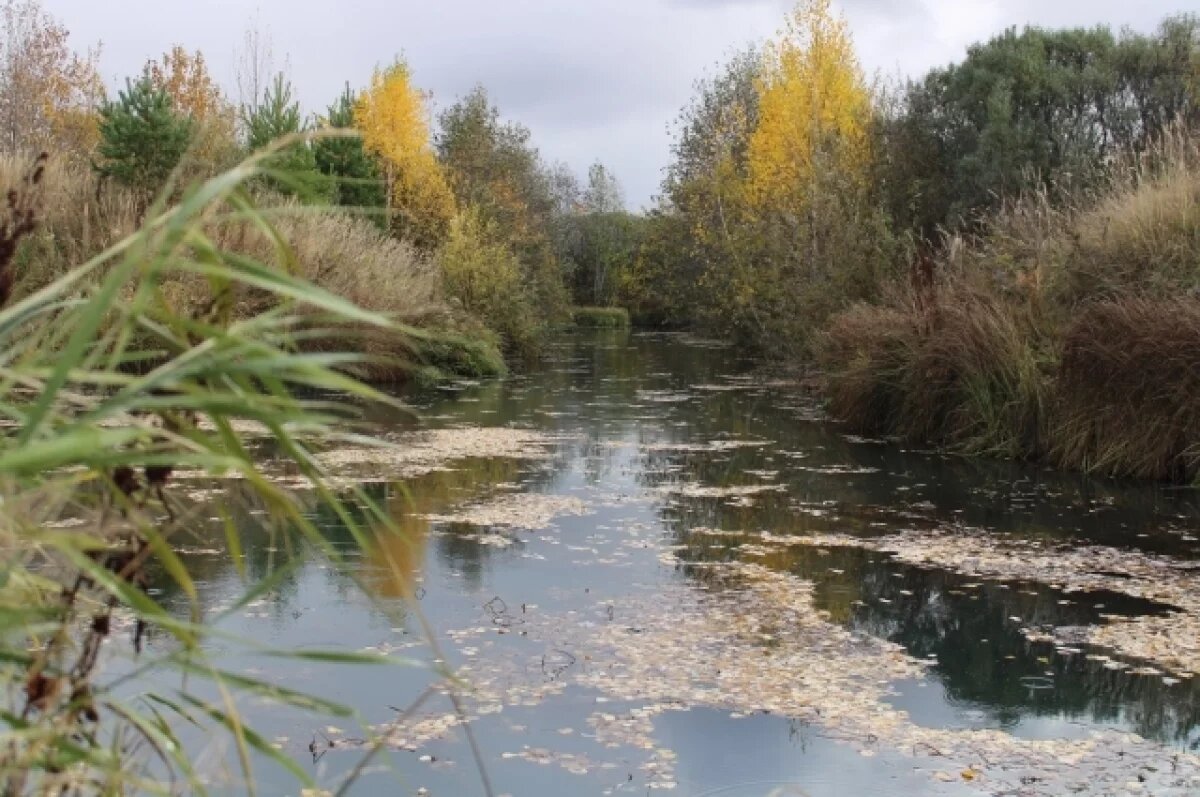    Малооблачная и теплая погода ожидается в выходные в Свердловской области