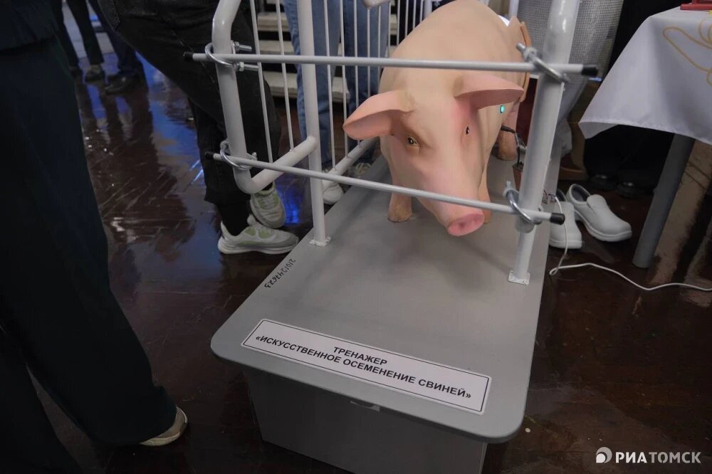    Карьерный форум "Труд крут!", © РИА Томск. Никита Гольцов