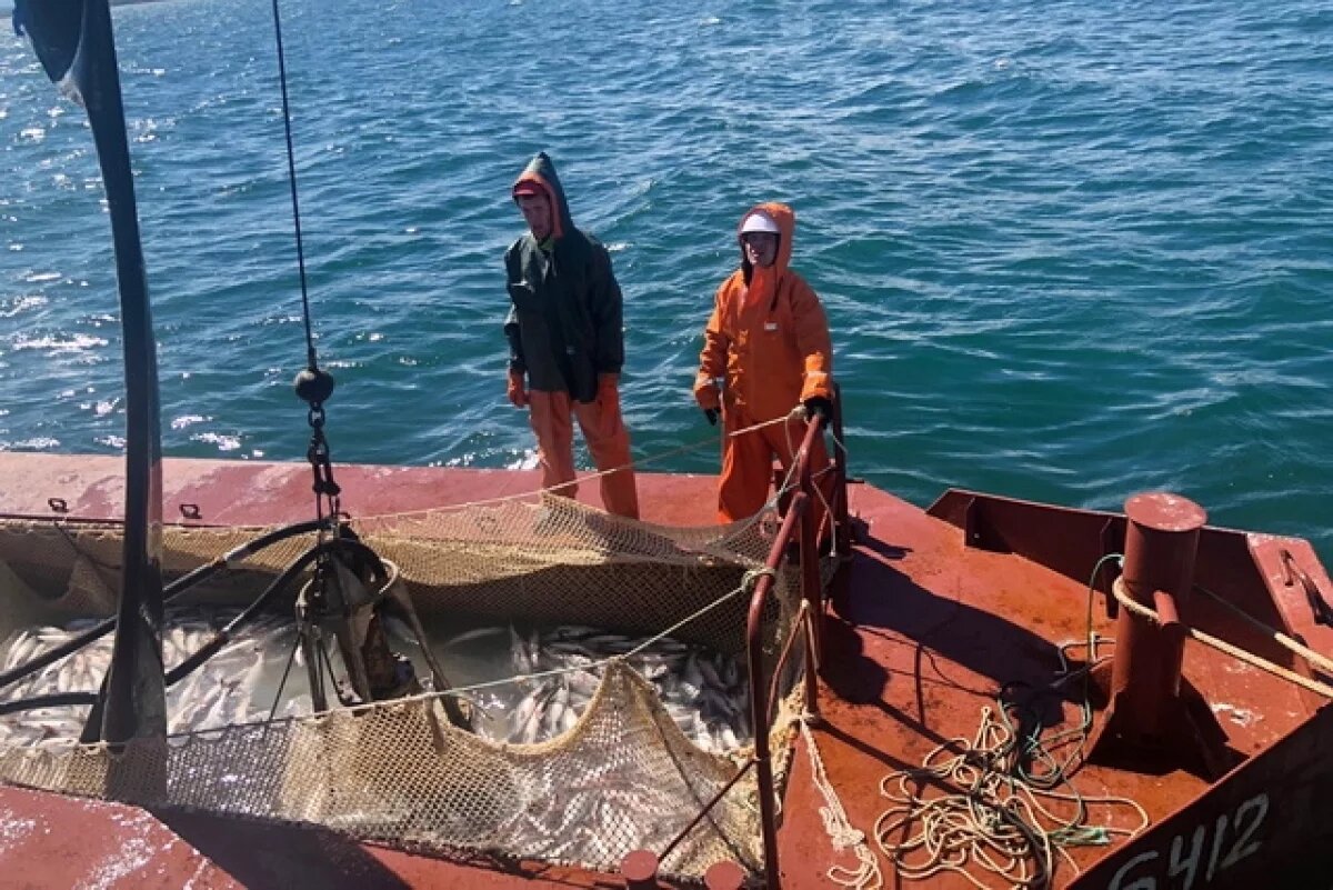    На Камчатке ликвидирована рыбодобывающая компания семьи сенатора Невзорова