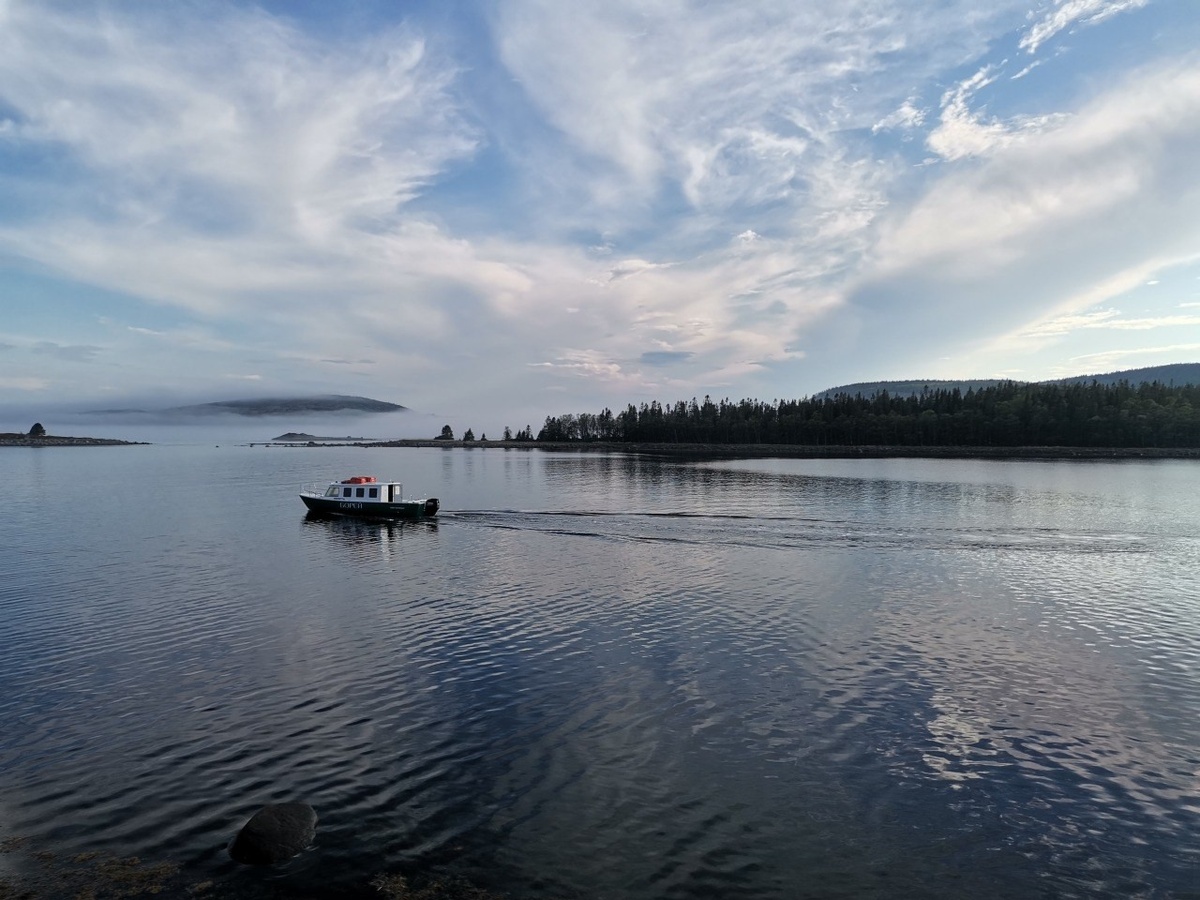    Фото: Минэкономразвития Карелии