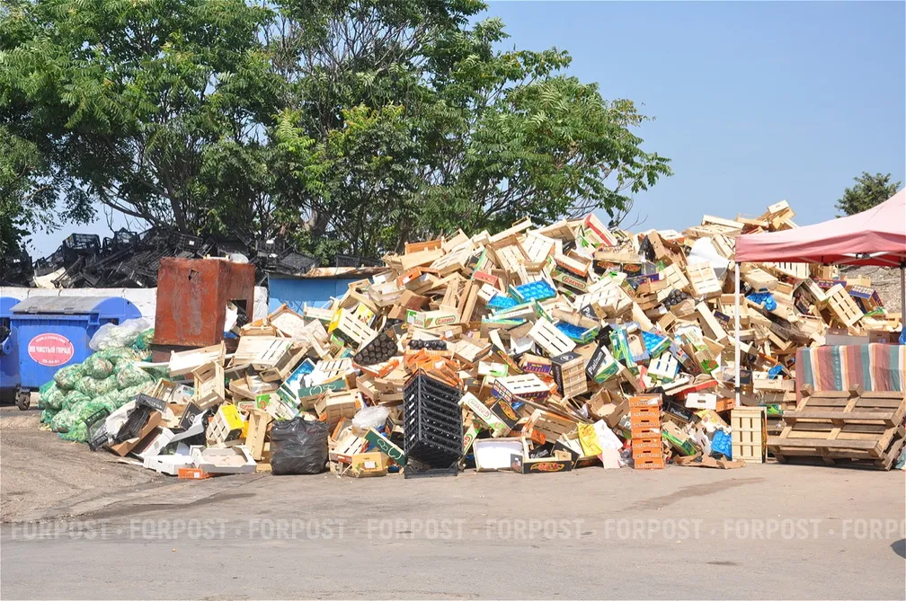 Фото:
Власта Ненашева / ForPost