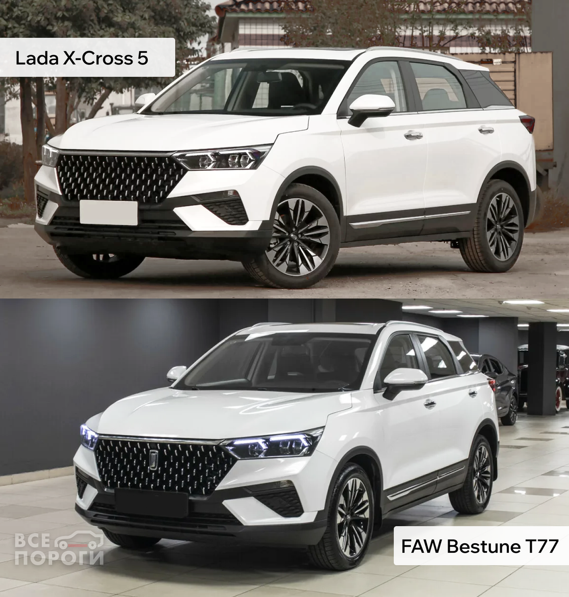 Русско-китайские близнецы
