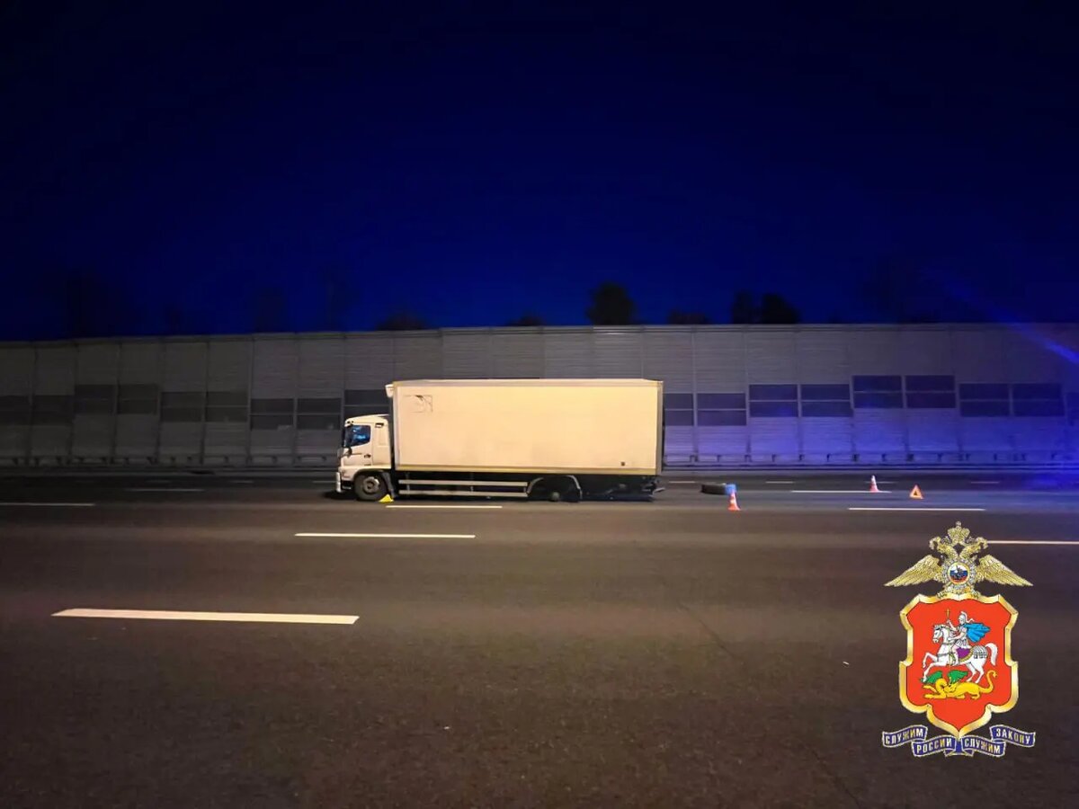    Фото: пресс-служба ГУ МВД России по Московской области