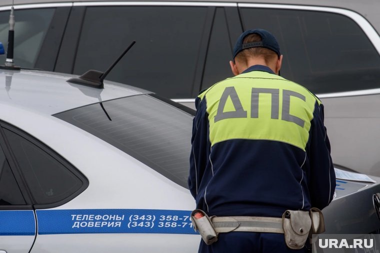    Сотрудники полиции организовали проверку
