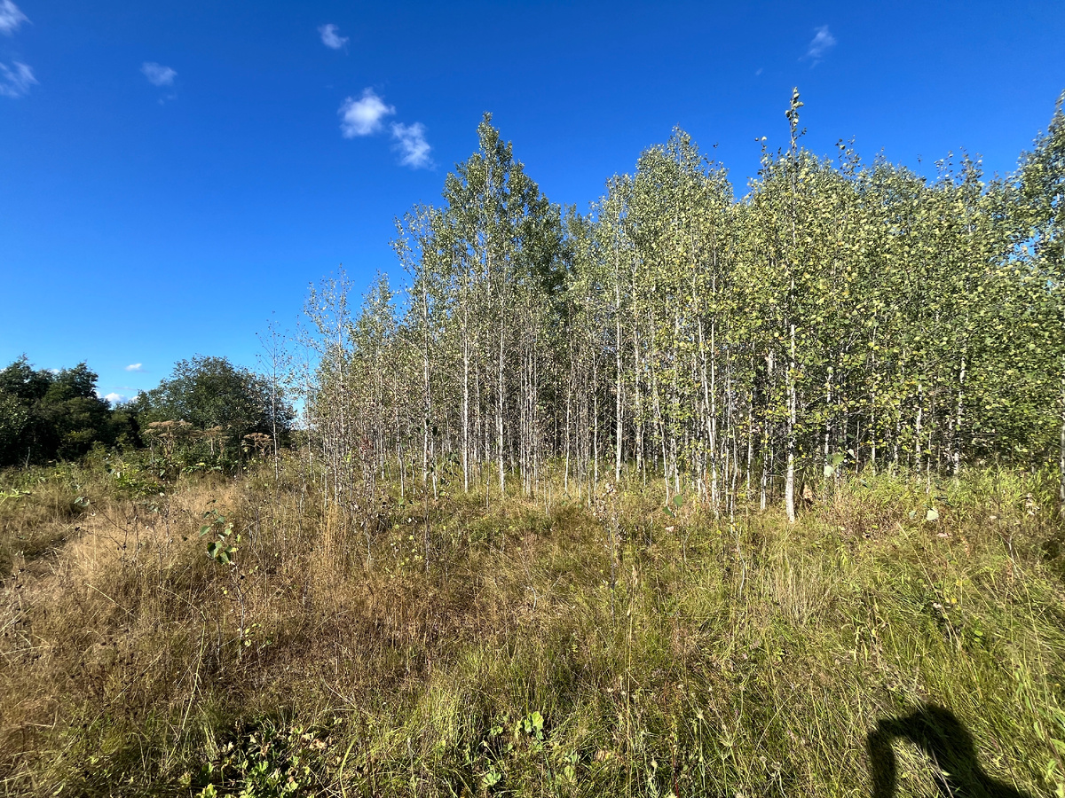 Первый участок. В деревне