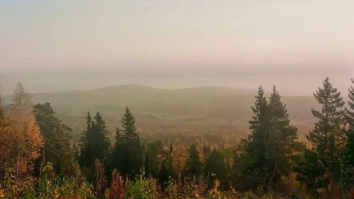     © ГСУ СК России по Красноярскому краю и Республике Хакасия