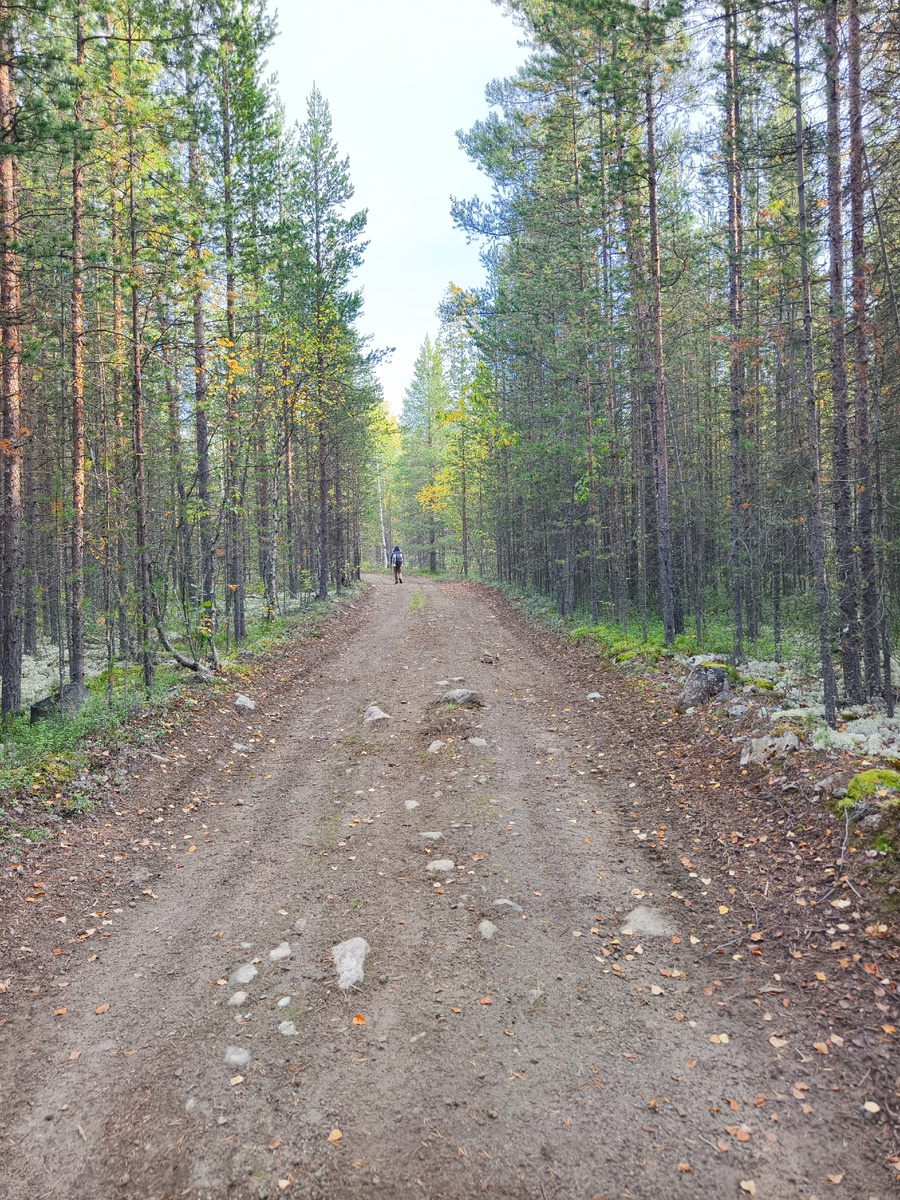 Сначала тропа выглядит так