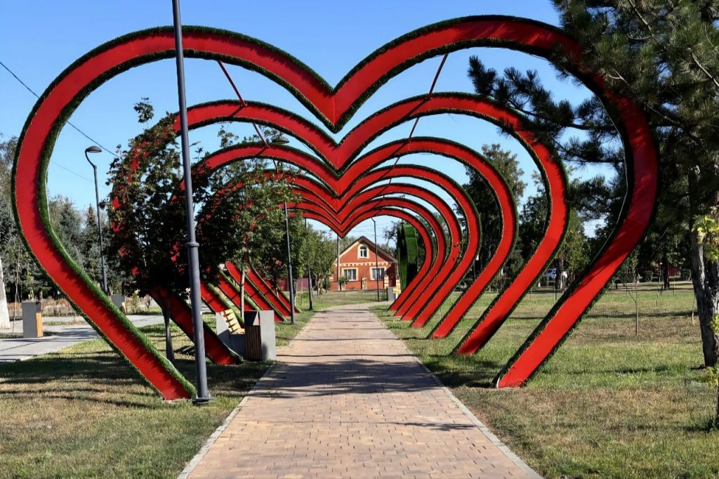    фото: donland.ru Редактор