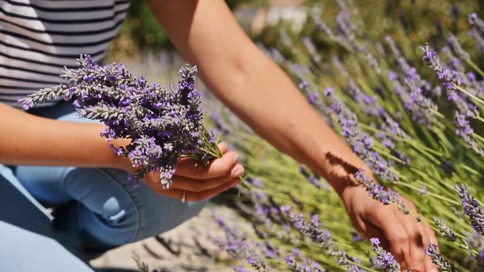 ФОТО: Кадр из программы "Купи-продай", РЕН ТВ