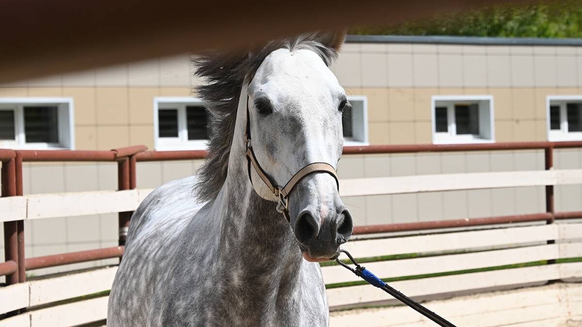    Фото: Мария Хапцова / Вечерняя Москва