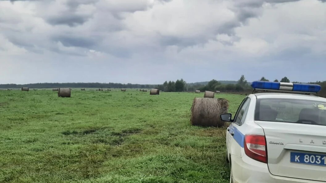    Фото: ГУ МВД России по Челябинской области.