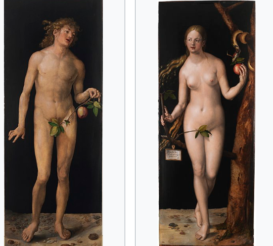 Дюрер Альбрехт