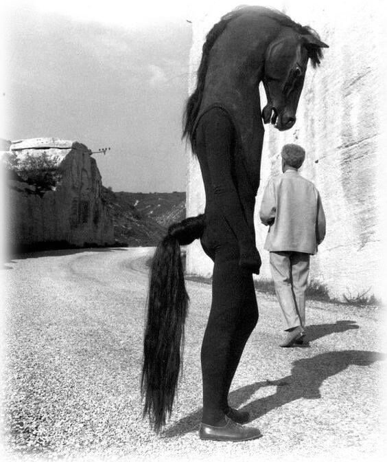 Конь Чугезе.