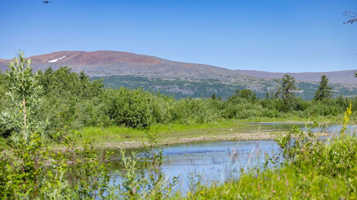    Фото: Федор Воронов / «Ямал-Медиа»